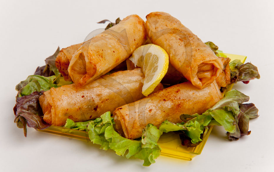 Nems poisson fruit de mer